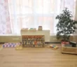 Montessori School