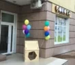 Бонобо Остров