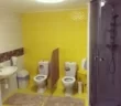 Бонобо Остров