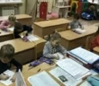 Кияночка в Соломенском районе