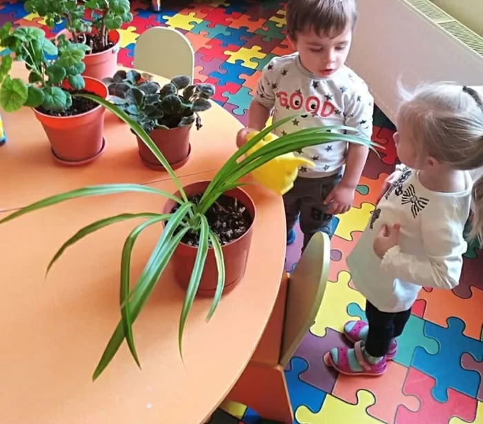 Antoshka Kids на Костромской