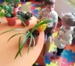 Antoshka Kids на Костромской