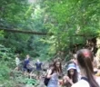 Magic Camp в Карпатах
