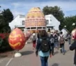 Magic Camp в Карпатах