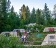 Эдельвейс в Карпатах - палаточный городок