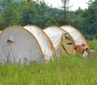Эдельвейс в Карпатах - палаточный городок