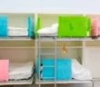 Active Child School Оболонь