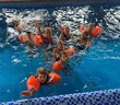 Шоколад под Киевом