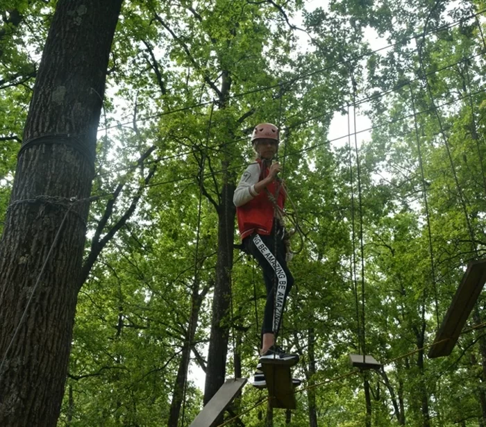 FreeStyle