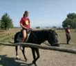 Трахтемирівська січ