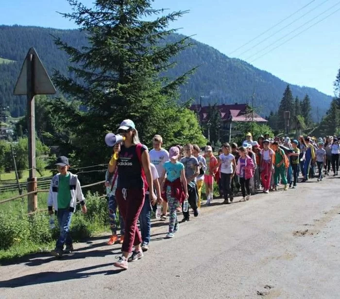 Гердан Eco-Camp