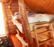 Карамель в Карпатах