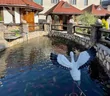 Карамель в Карпатах