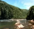 Карпатский перезвон