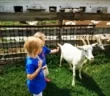 Kangaroo Nursery School