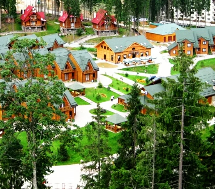Артек Буковель Лесной