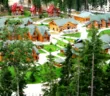Артек Буковель Лесной