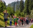 Артек Буковель Лесной