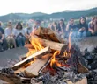 Артек Буковель Лесной