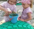 Родинне гніздечко