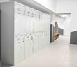 Звездный