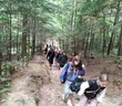 FOREST LIFE
