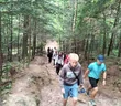 FOREST LIFE