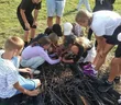 Горный драйв