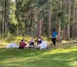 Карпаты пешеходный туризм и школа выживания