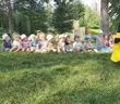 Японский сад в с.Чайки